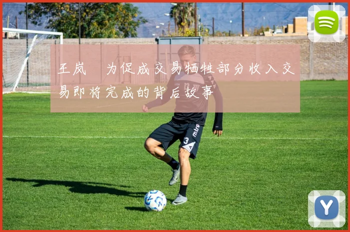 王岚嵚为促成交易牺牲部分收入交易即将完成的背后故事