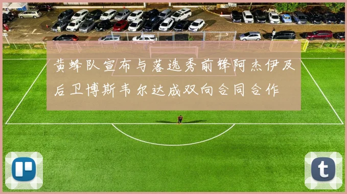黄蜂队宣布与落选秀前锋阿杰伊及后卫博斯韦尔达成双向合同合作